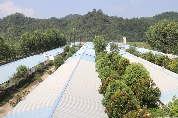 養(yǎng)殖基地