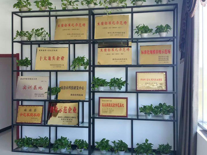 公司榮譽(yù)