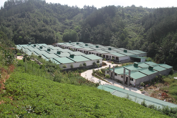 商品豬養(yǎng)殖基地